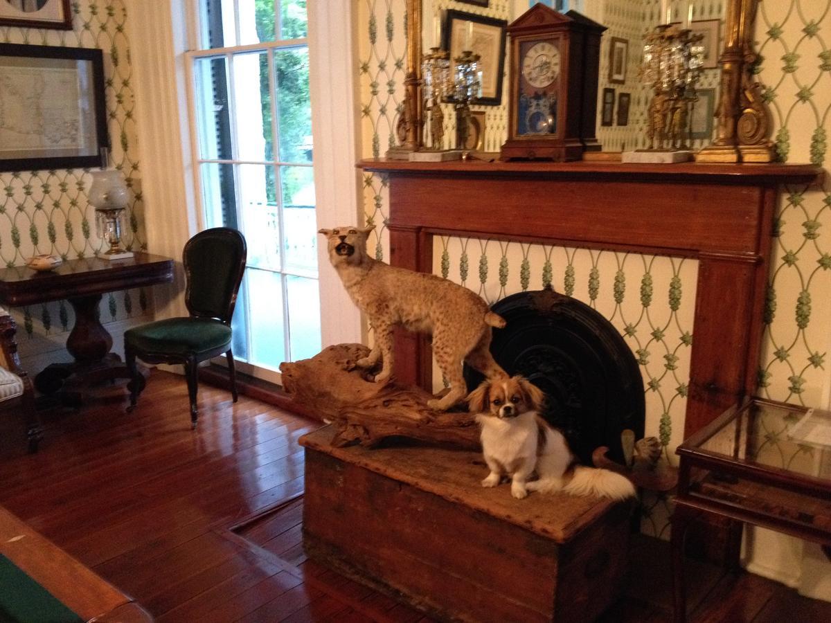 Stone House Musical B&B Natchez Exterior foto