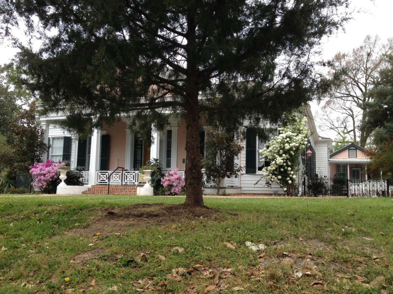 Stone House Musical B&B Natchez Exterior foto
